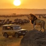 Wildlife Travel Guide: Best Safari Destinations